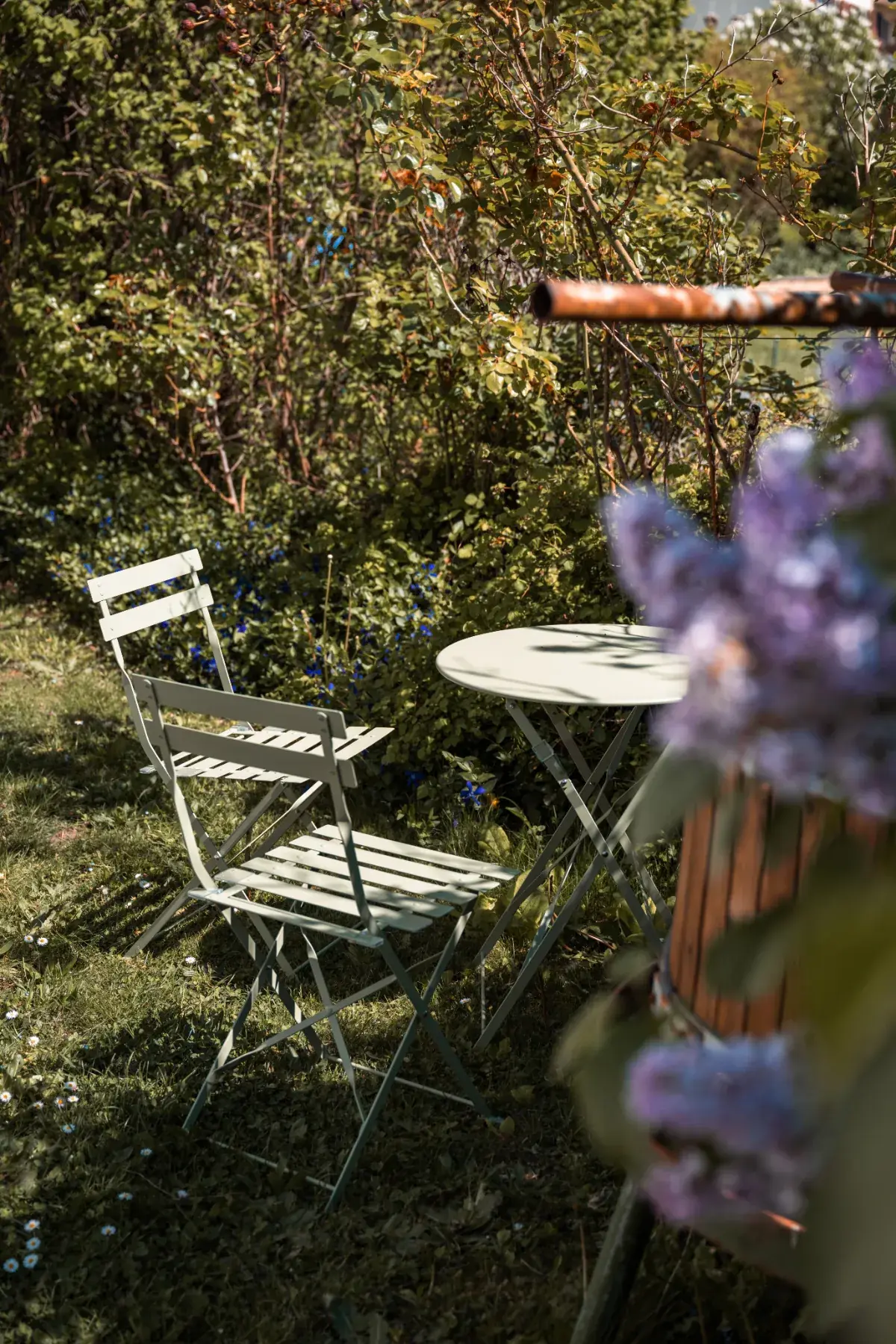 Table et chaises de jardin sous les arbres devant le Cabanon des Vignes