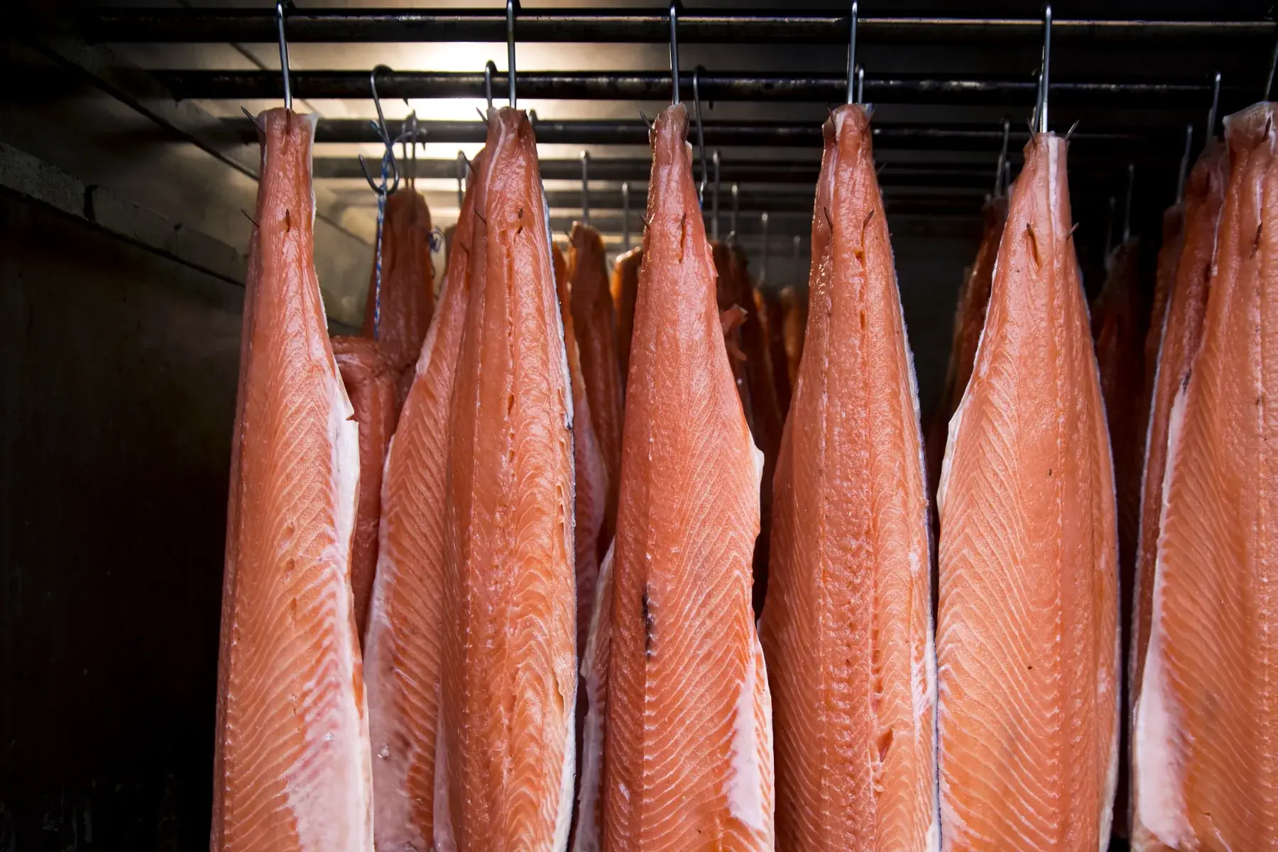 Filets de saumon suspendus dans la fumerie du Saumon Fumé des Acacias à Fleurier